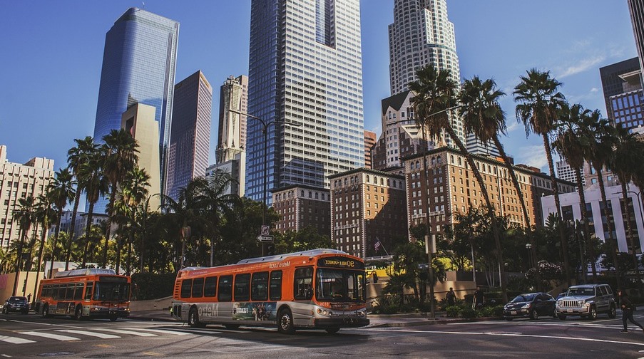 bus on city highway