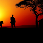 Why You Need Furniture for Your Office