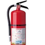 Three Reasons to Buy a Bed for Your Dog