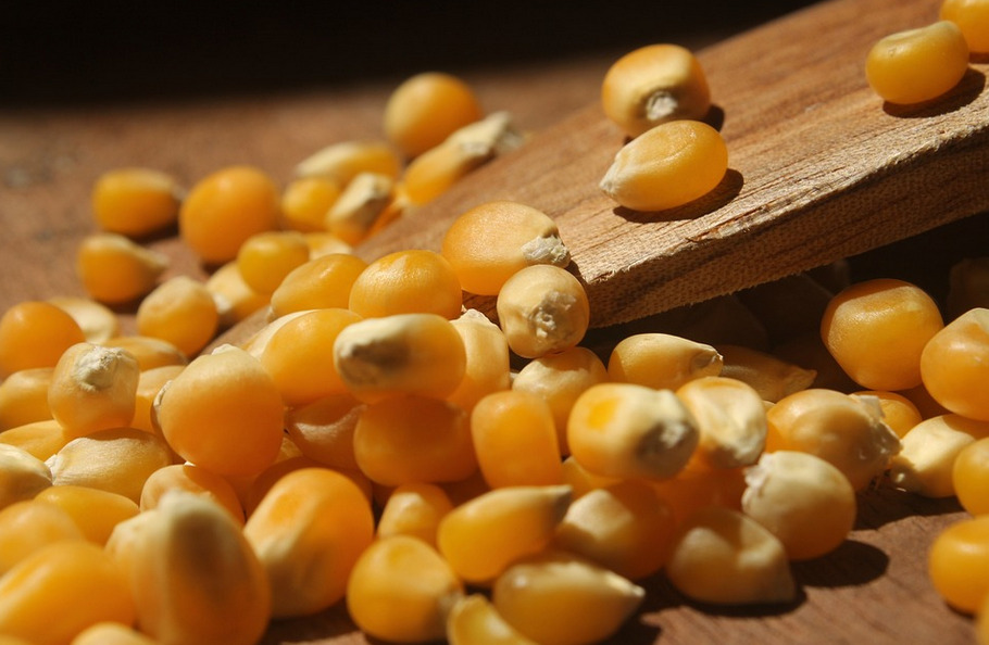 corns